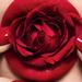 Dior Rouge Dior Ultra Care Liquid. Фото 2