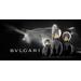 Bvlgari Goldea Roman Night. Фото 2