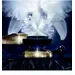 Guerlain Orchidee Imperiale Molecular Concentrated Eye Cream. Фото 3