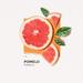 Solinotes Pomelo. Фото 4