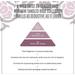 Scottish Fine Soaps Tangled Rose Bath Foam. Фото 1