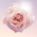 Lancome Hydra Zen Yeux. Фото 1