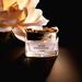 Dior Prestige La Creme Essentielle. Фото 1