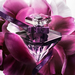 Lancome La Nuit Tresor Le Parfum. Фото 1