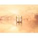 Lancome Absolue Soft Cream. Фото 1