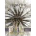 Durance Bouquet Parfume Petit Format. Фото 2