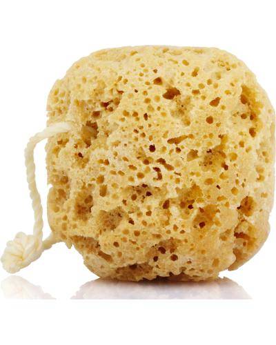 Alma K Eco-friendly Foaming Sponge фото 1