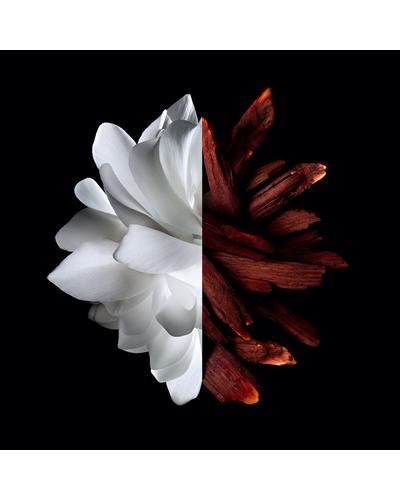 Givenchy L'Interdit Rouge фото 3