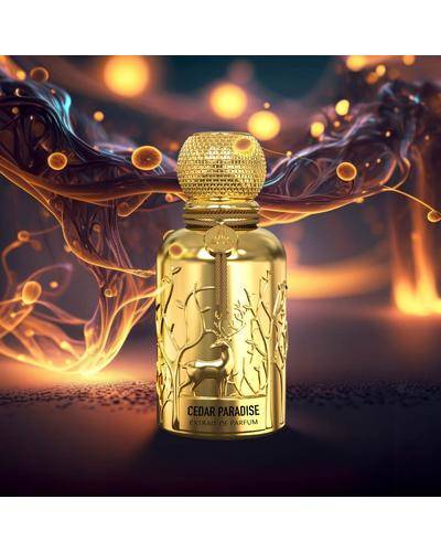 Auraa Desire Cedar Paradise Extrait De Parfum фото 1