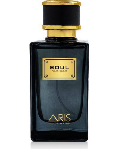 ARIS Soul главное фото