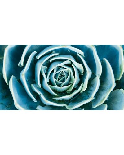 Arnaud Aqua Detox Plumping Serum фото 2