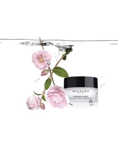 MESAUDA Forever Young фото 1