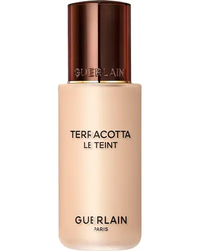 Guerlain Terracotta Le Teint главное фото