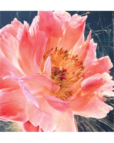 Dior Joy Eau de Parfum Intense фото 2