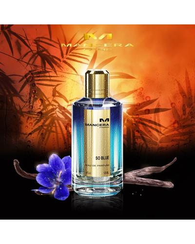 Mancera So Blue фото 2