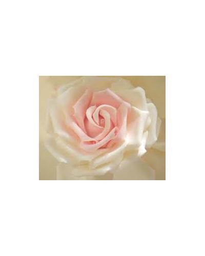 Dolce&Gabbana The One Rose фото 3