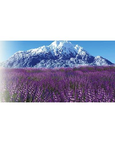 Treets Traditions Healing in Harmony Gift Set Large фото 4