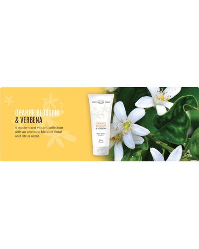 Scottish Fine Soaps Orange Blossom & Verbena Hand Lotion фото 1
