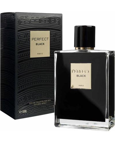 Geparlys Perfect Black фото 1