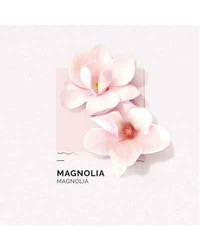 Solinotes Magnolia фото 1