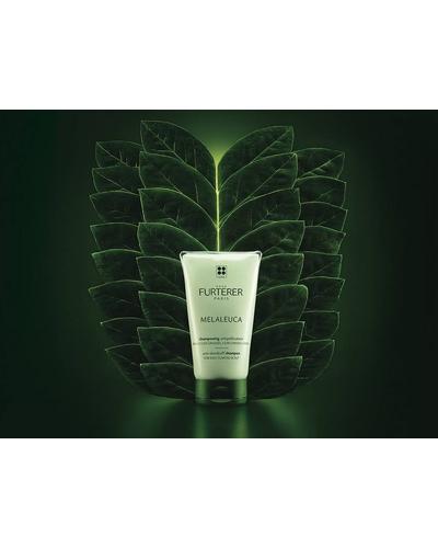 Rene Furterer Melaleuca Anti-dandruff Shampoo For Oily Scalp фото 2