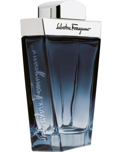 Salvatore Ferragamo Subtil Pour Homme главное фото