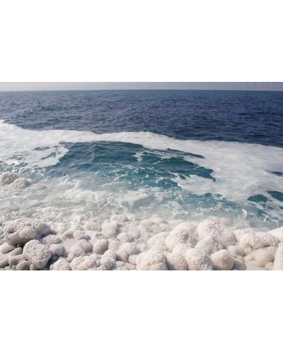 Alma K Eco-friendly Foaming Sponge фото 4