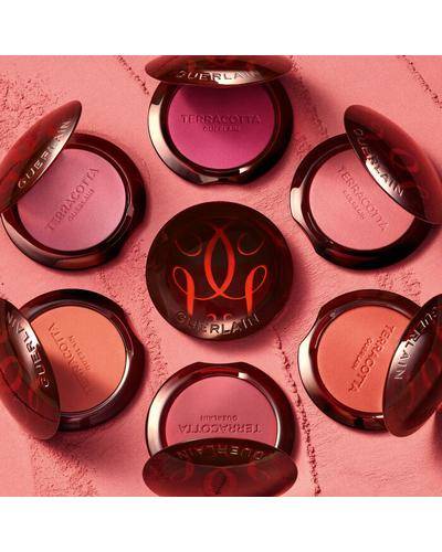 Guerlain Terracotta Blush Powder фото 1