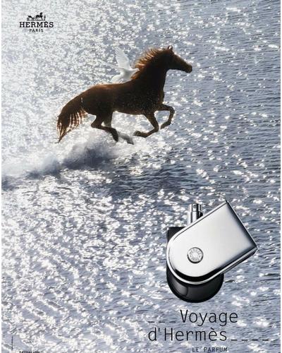 Hermes Voyage d'Hermes Parfum фото 5
